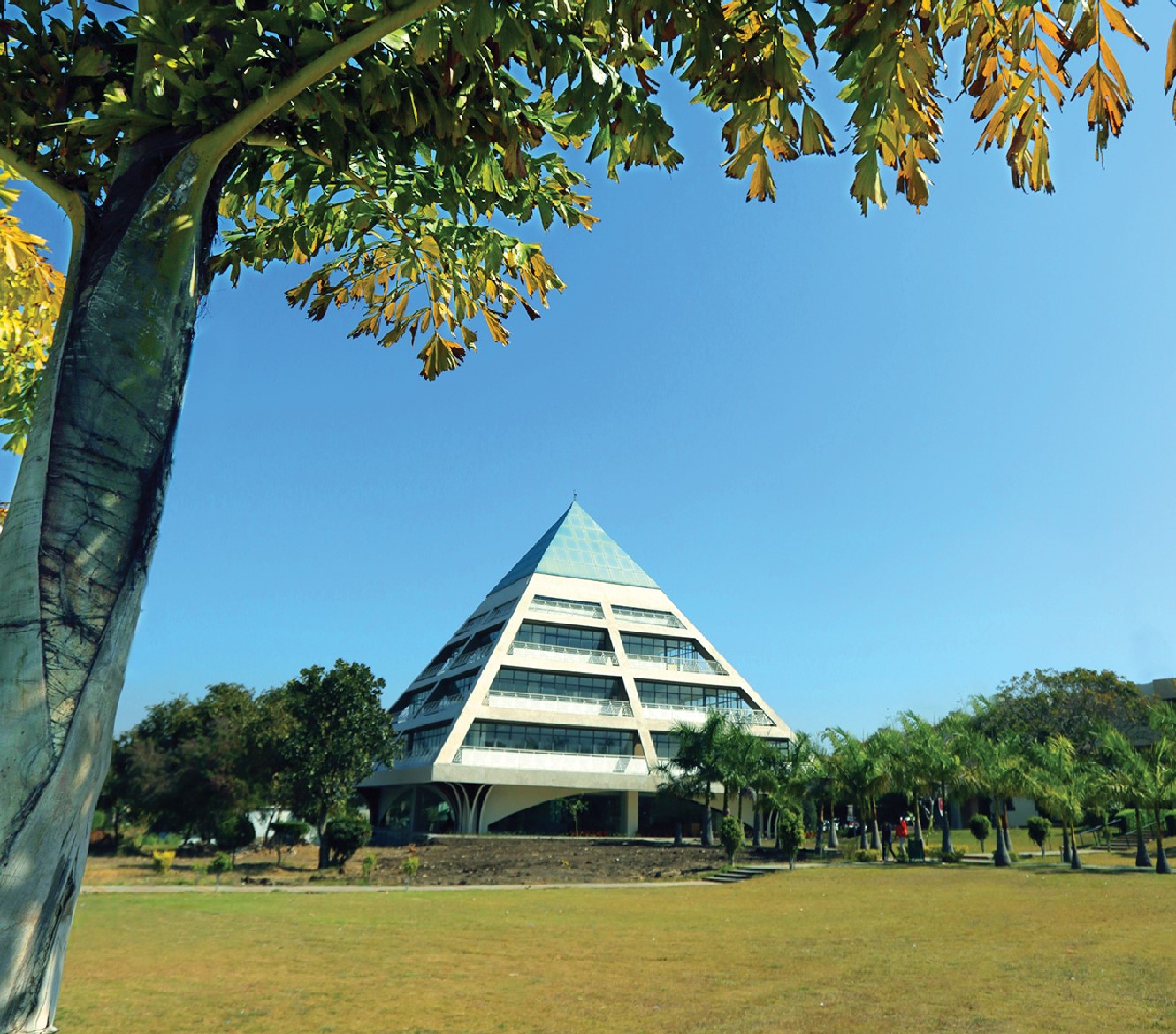 All Colleges In Bhopal - JLU, Bhopal